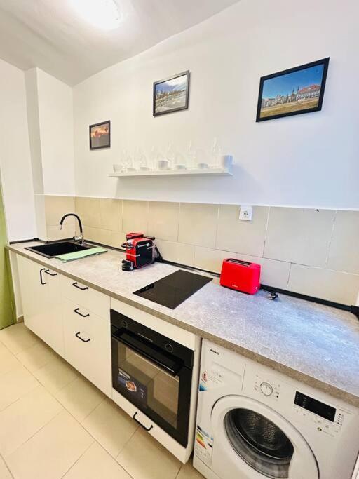 Cosy Apartment #12Lunipebega Timisoara Exterior foto