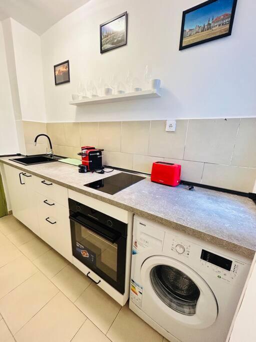 Cosy Apartment #12Lunipebega Timisoara Exterior foto